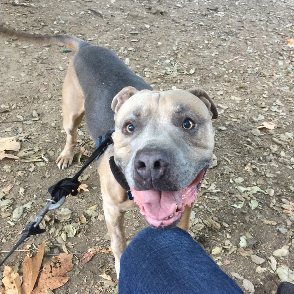 Meet your Posher, Aldo